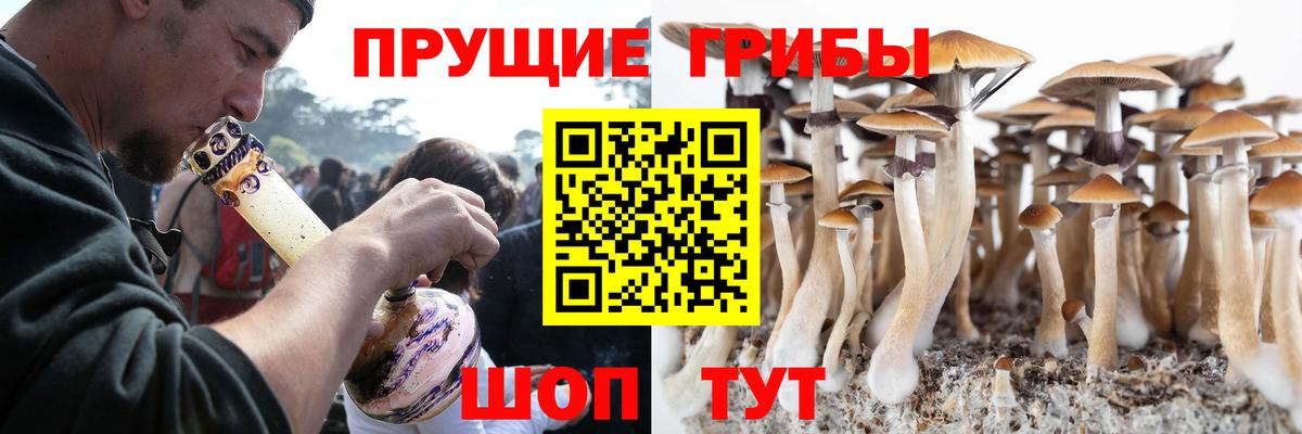 Псилоцибиновые грибы Magic Shrooms Рассказово